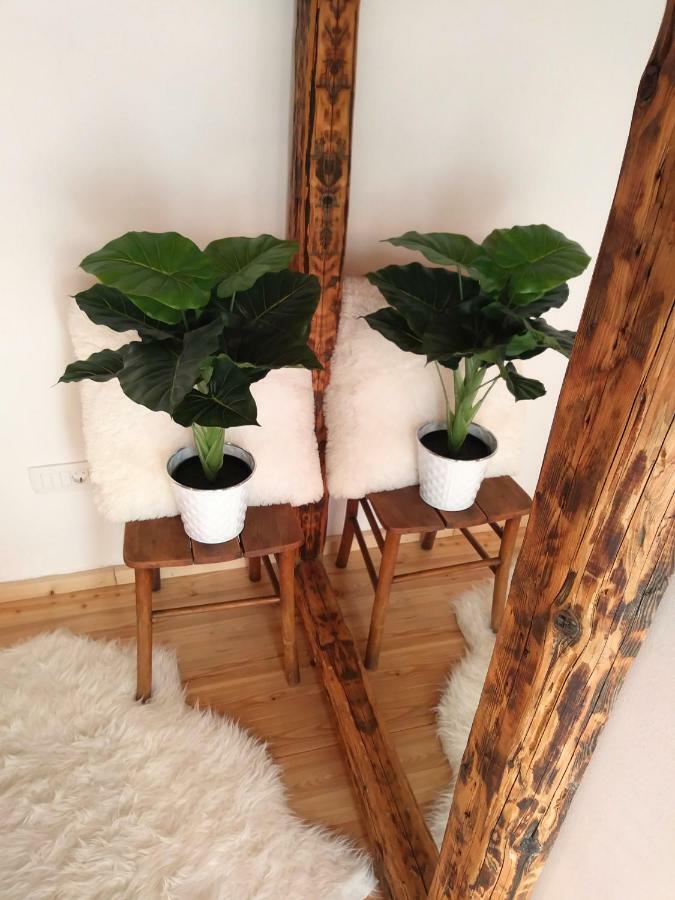 Apartment Cernesa Ražanac 외부 사진